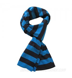 TrendsBlue Premium Soft Knit Striped Scarf