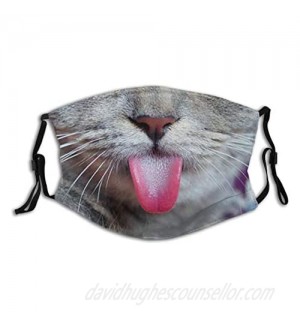 Funny Cat Face Mask With Filter Pocket Washable Face Bandanas Balaclava Reusable Fabric Mask With 2 Pcs Filters
