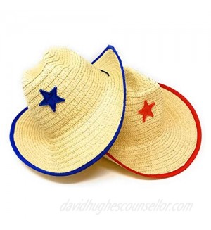 Funiverse Bulk 12 Pack of Western Cowboy Hats with Red and Blue Stars - One Size Fits Most